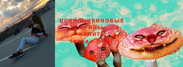 spice Алексин