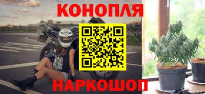 гидра Малгобек