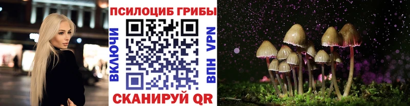 Псилоцибиновые грибы Psilocybe  что такое   Беслан 