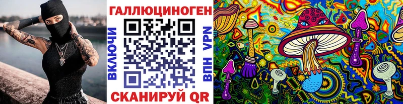 Псилоцибиновые грибы Cubensis Беслан